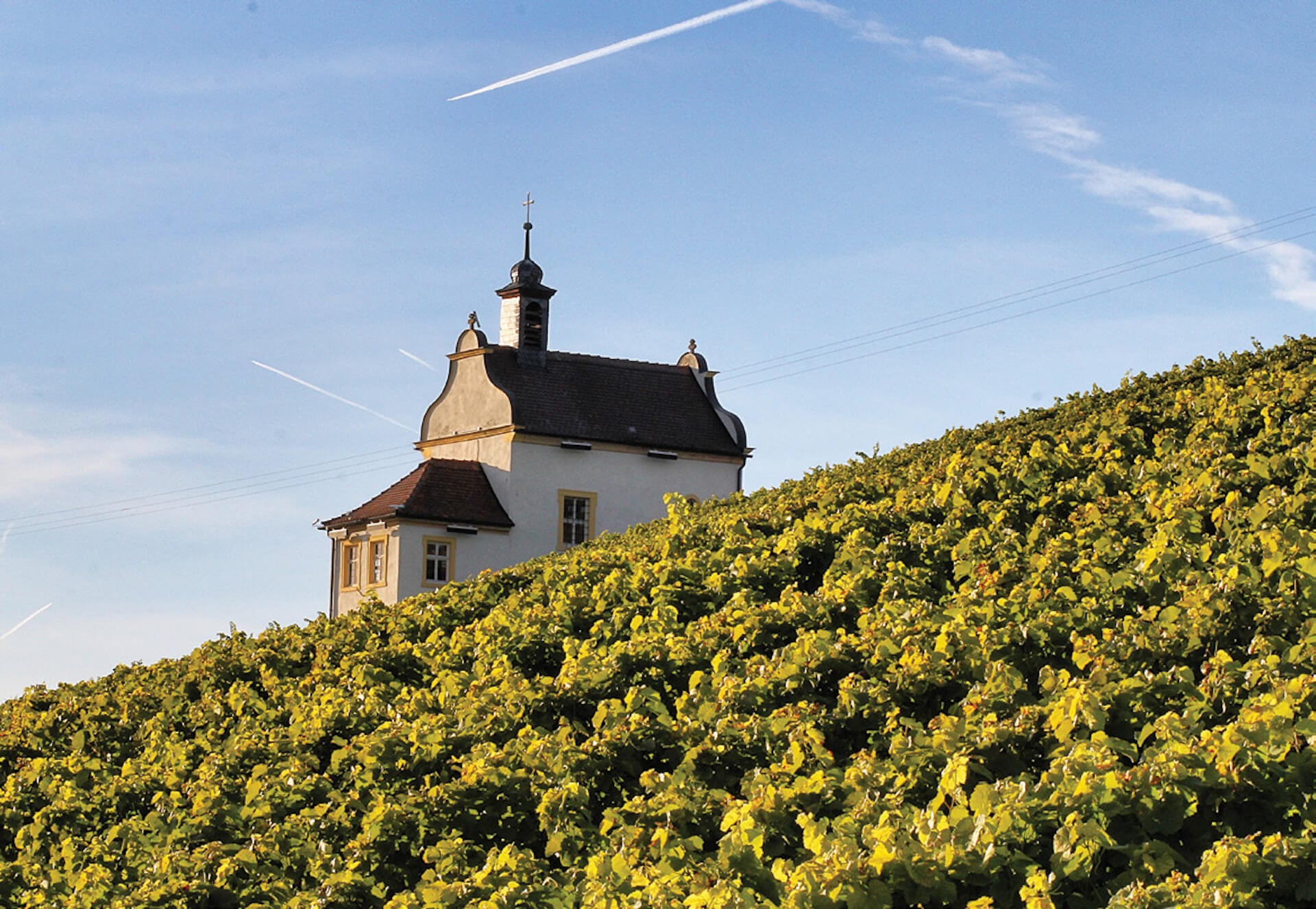 Verkostung - "Frickenhausen - das Bickelsche mitbringsel"